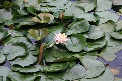 797-Hangzhou,17 luglio 2014